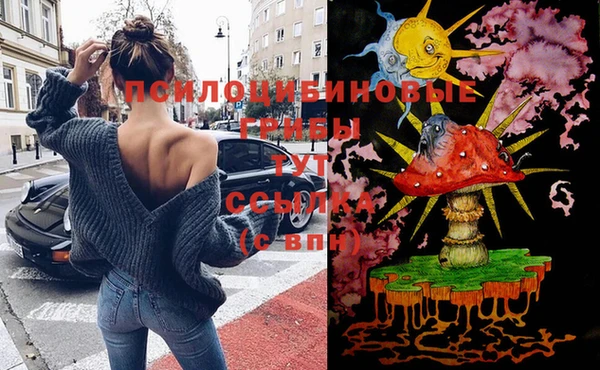 тгк Алзамай