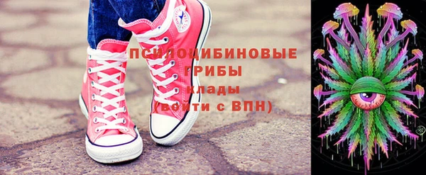тгк Алзамай