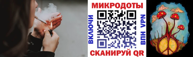 наркота  Поронайск  Псилоцибиновые грибы Psilocybe 